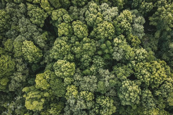 Ski à cauterets : découvrez nos appartements confortables